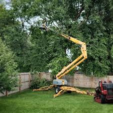 Allendale, SC Tree Care Company