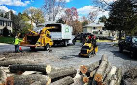  Allendale, SC Tree Care Pros